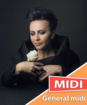 amira-medunjanin-pjevat-cemo-sta-nam-srce-zna-midi-karaoke-general-midi